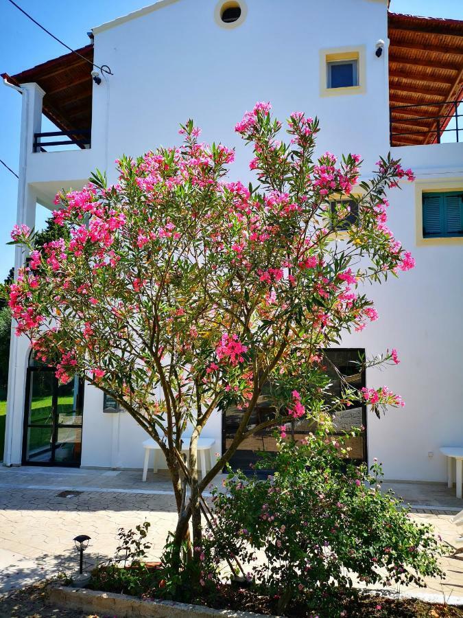Nikoli Benitses (Corfu)