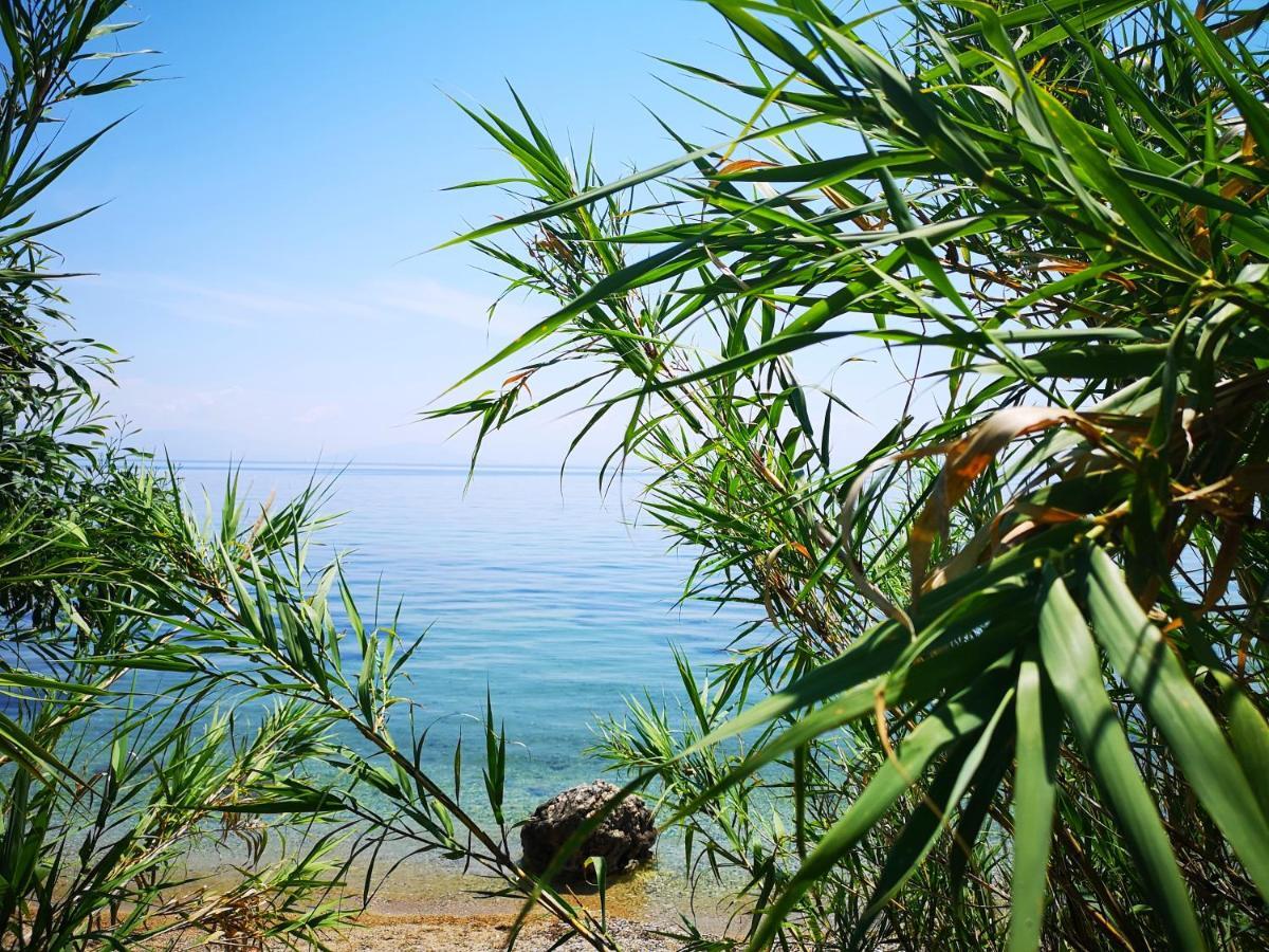 Nikoli Benitses (Corfu)